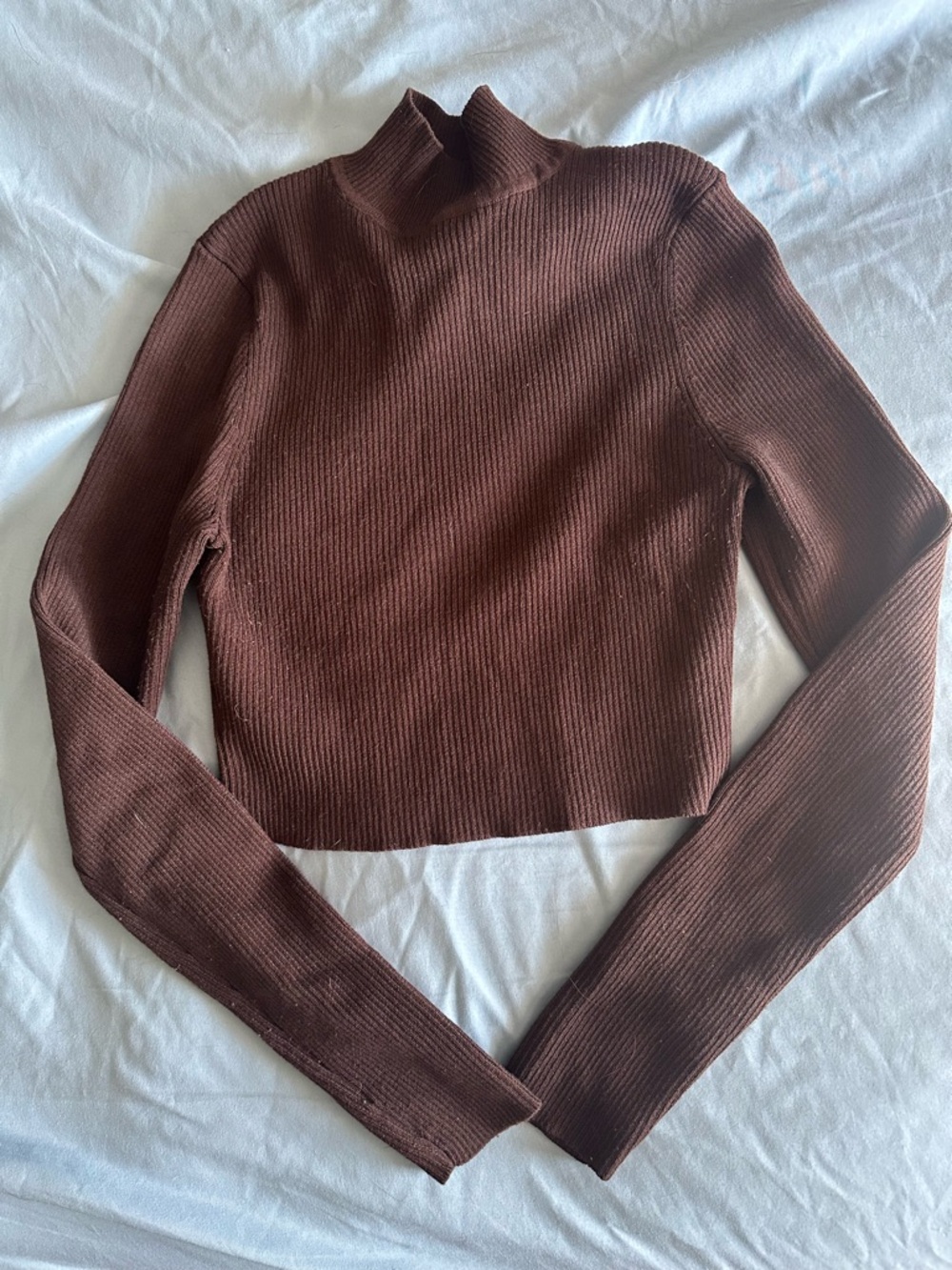 H&M Brown Ribbed Cropped Turtleneck